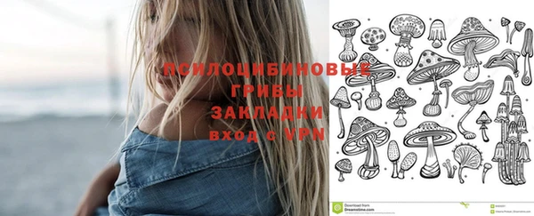 spice Абинск