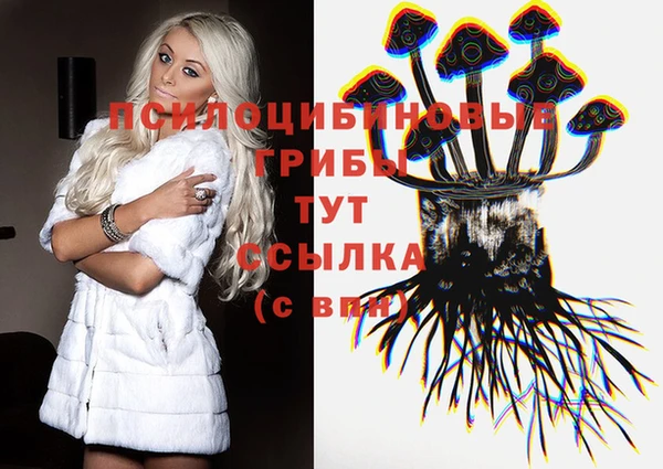 spice Абинск