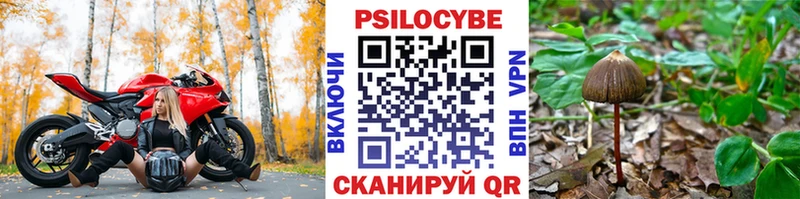 Галлюциногенные грибы Psilocybine cubensis кракен сайт Сольцы